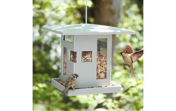 Umbra Futterspender Bird Cafe Grau – Bild 7
